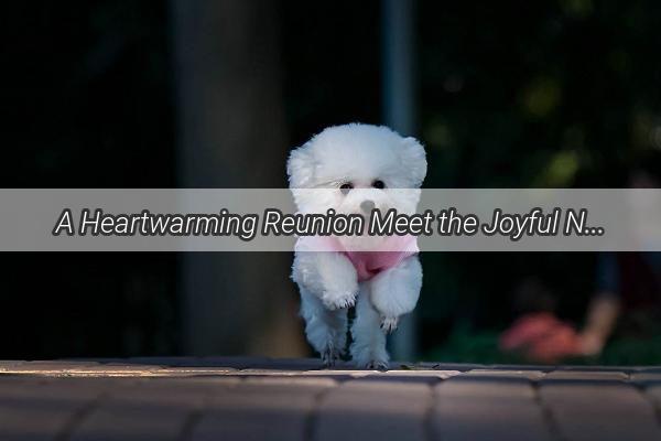 A Heartwarming Reunion Meet the Joyful New Family Member Who Captured Our Hearts